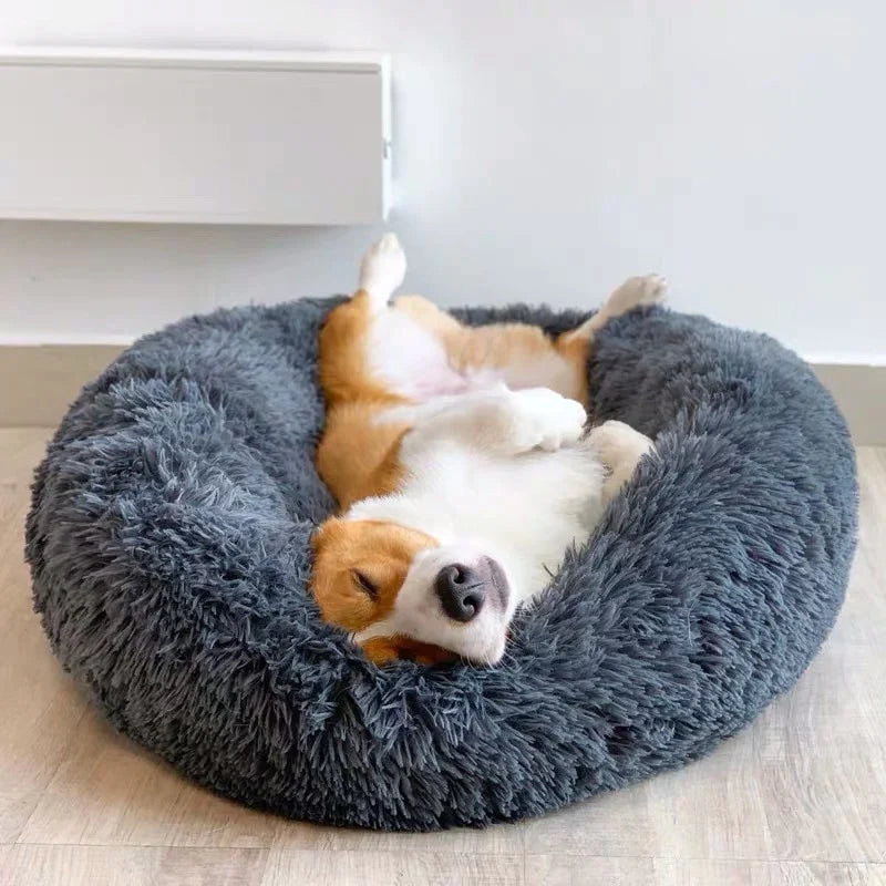 Relaxed Dog Bed